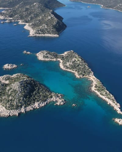 Akvaryum Koyu